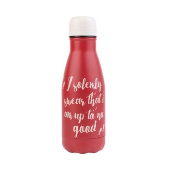 HARRY POTTER  HOT & COLD 260ML METAL BOTTLE