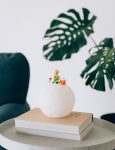 LAMP005