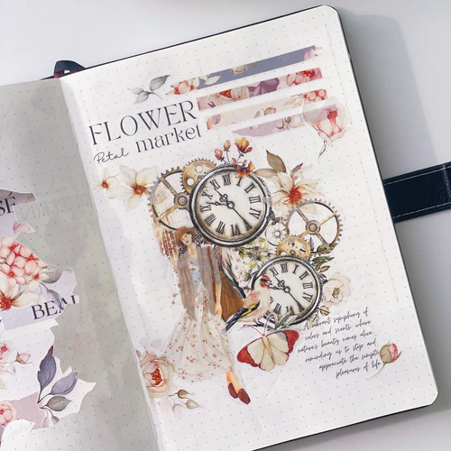 31a6cc119cfef7d075df9e44ab480ba3