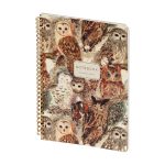 5deon10gc9k2ywfoc5qg126ij9amsoqz