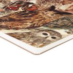 5deon10gc9k2ywfoc5qg126ij9amsoqz